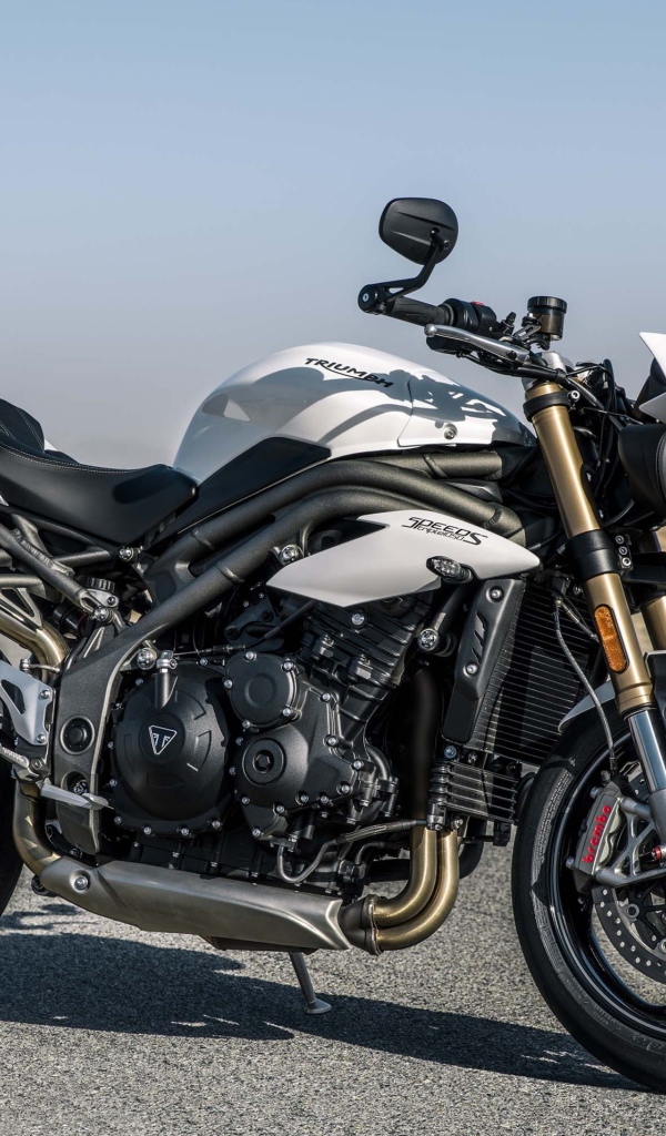 Мотоцикл Triumph Speed Triple S, 2018 на трассе