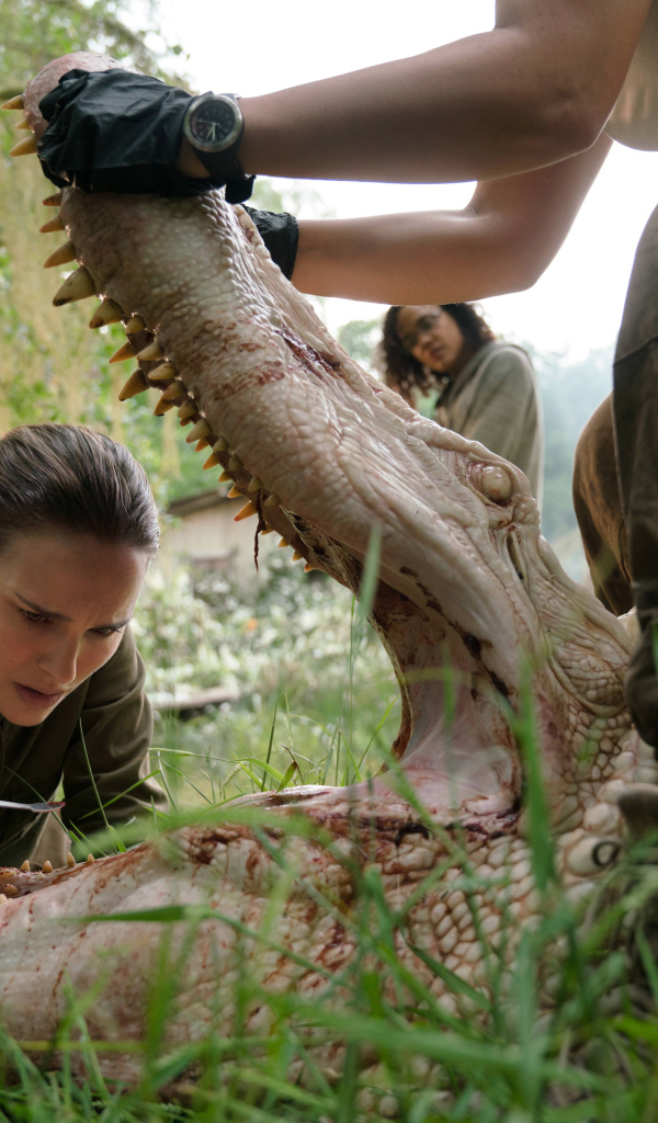 Кадр из фильма Аннигиляция, 2018