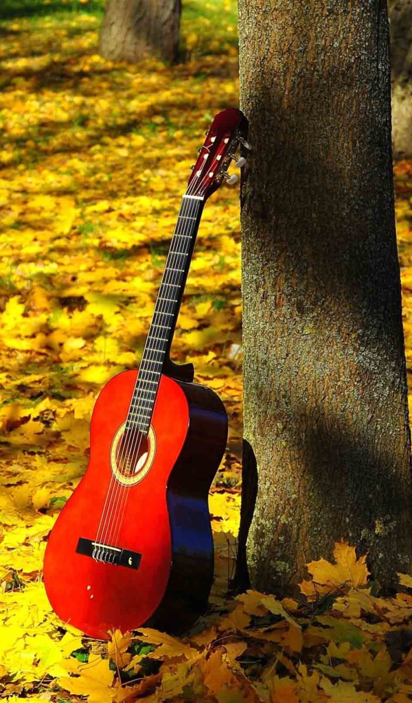 Красная гитара стоит у дерева на опавшей листве осенью 