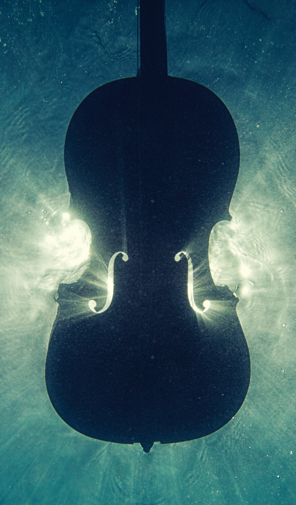 Скрипка тонет в воде