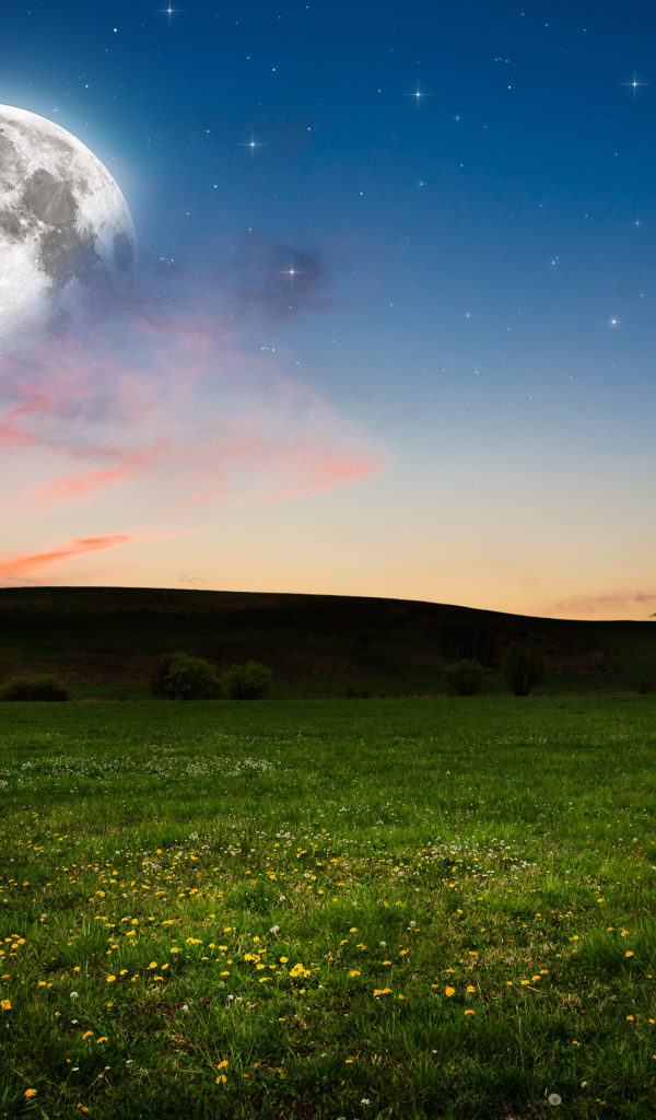 Большая луна в небе над зеленым лугом