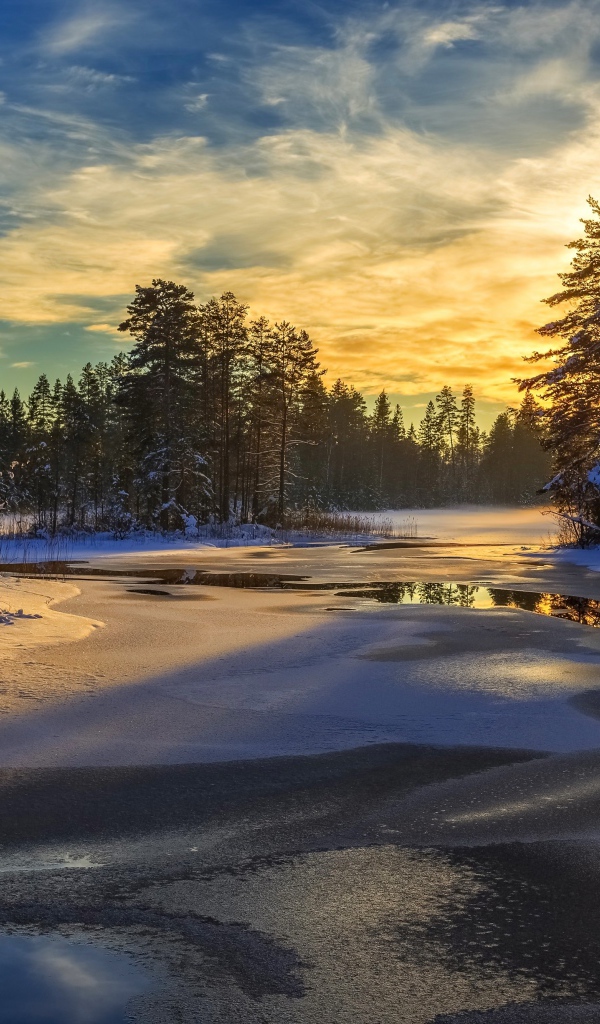 Покрытая льдом река с заснеженными елями по берегам на рассвете