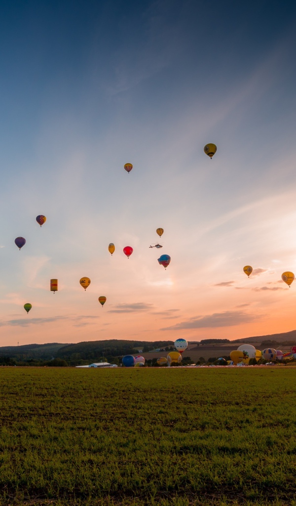 Воздушные шары в небе над зеленым полем