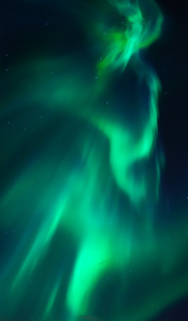 Красивое зеленое северное сияние в звездном небе 