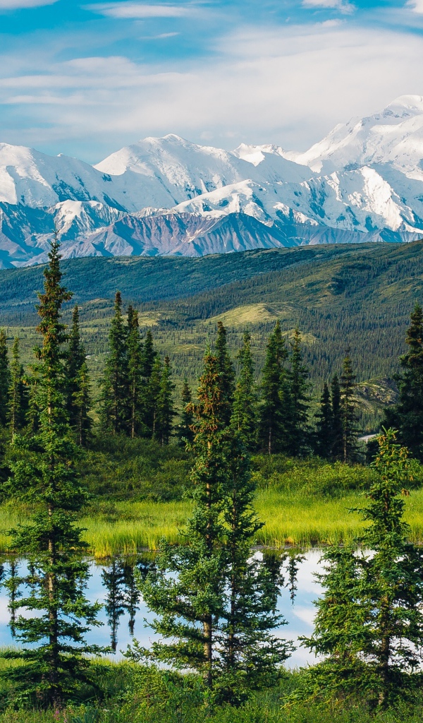 Красивый вид на горы, лес и озеро, Аляска