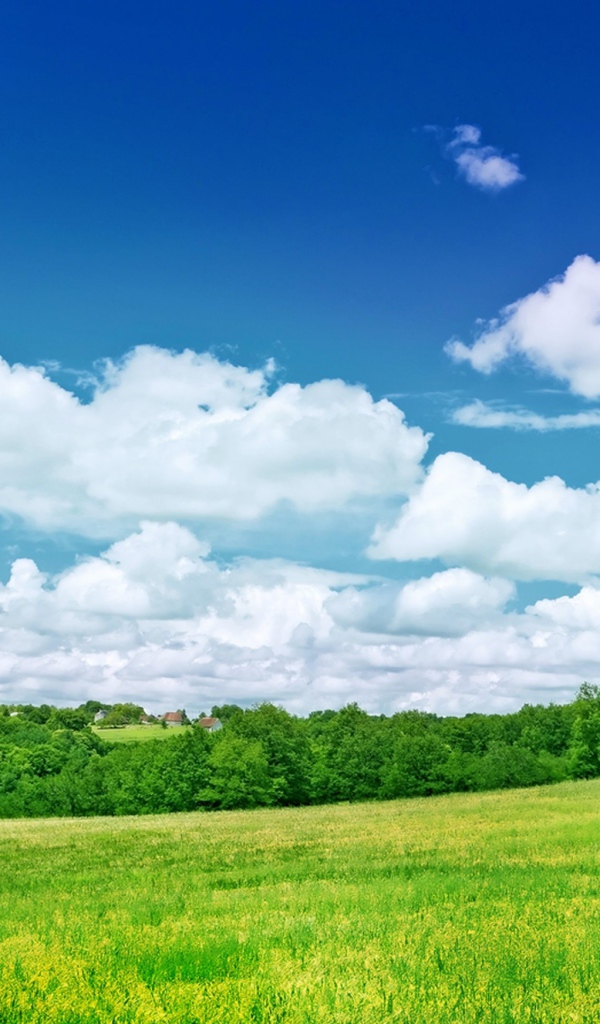 Голубое небо с белыми облаками над зеленым полем 