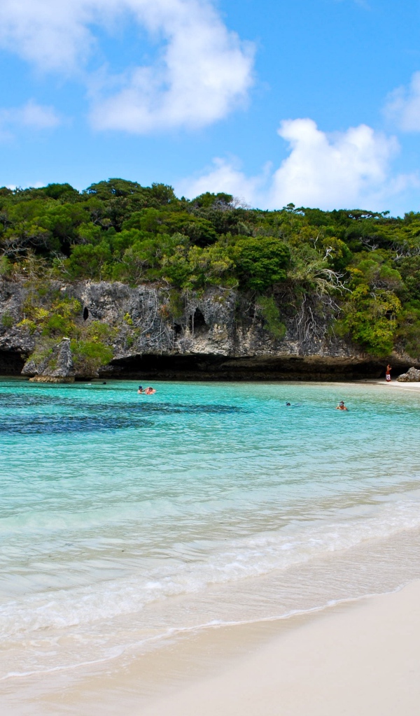 Покрытая зеленью сказала около пляжа на морском берегу 