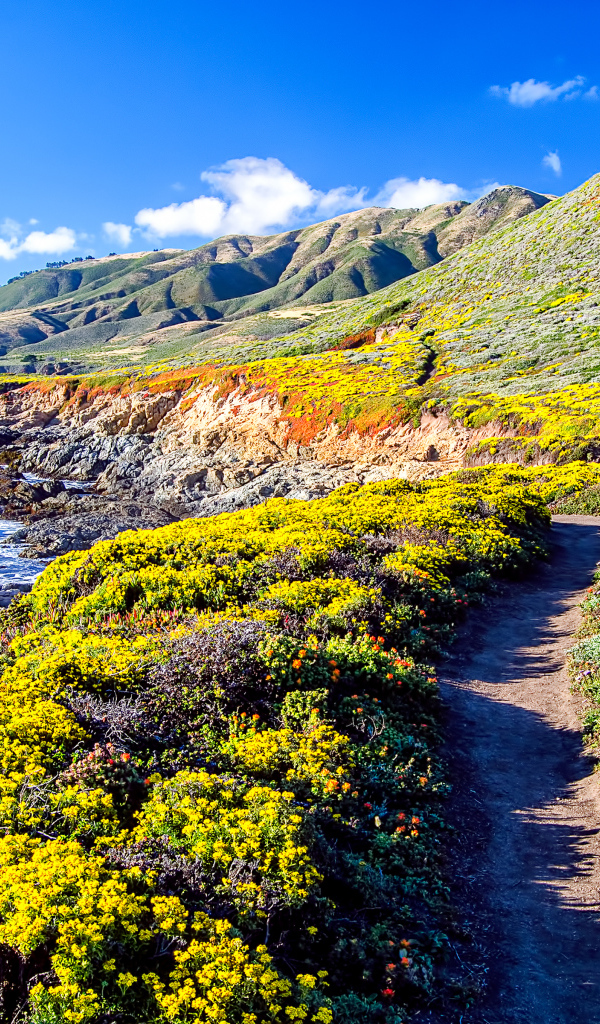 Покрытые растительностью горы на берегу моря