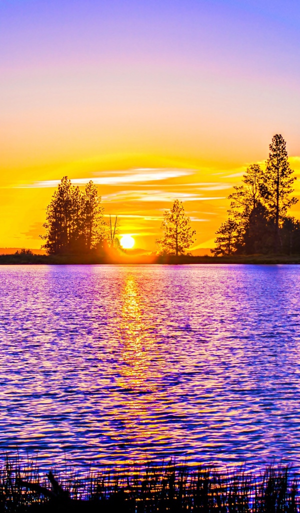 Рассвет яркого солнца над рекой