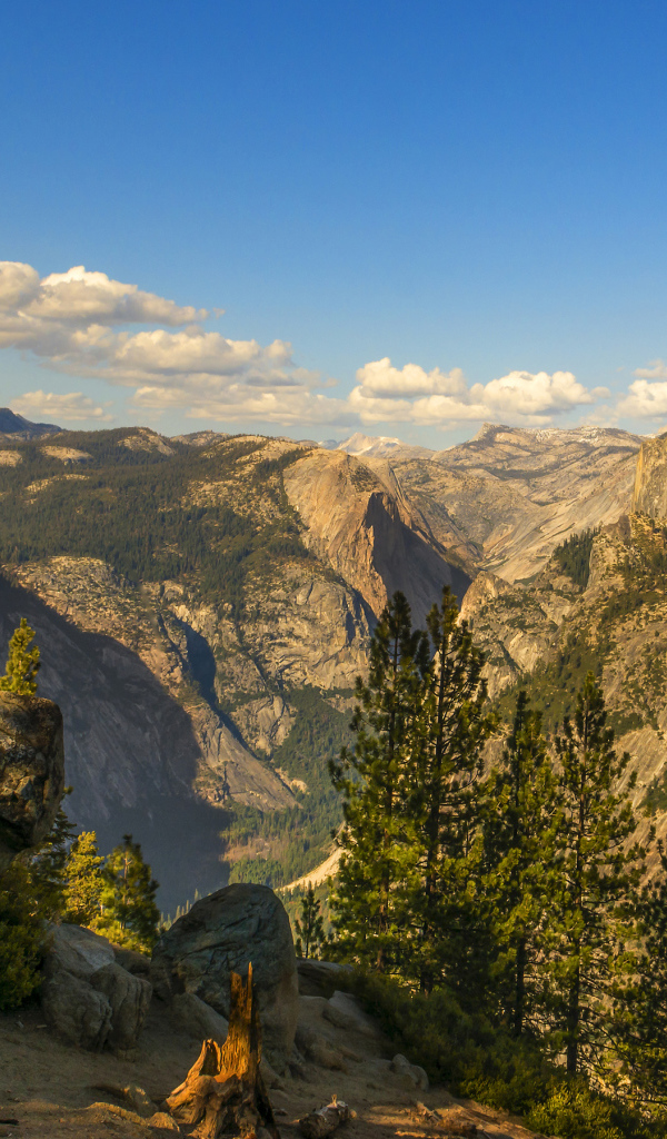 Покрытые лесом горы под голубым небом 
