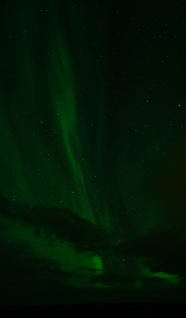 Зеленое северное сияние в звездном небе