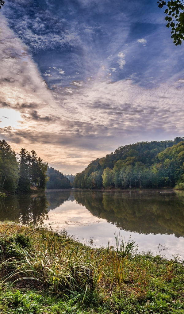 Зеленые деревья на берегу реки под красивым небом