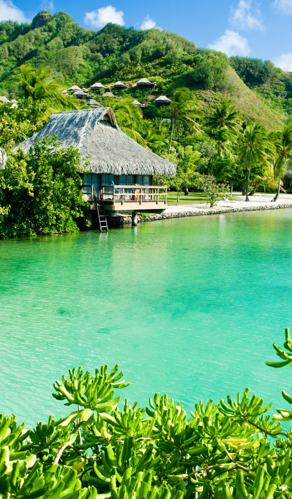 Дома на сваях на зеленом тропическом пляже