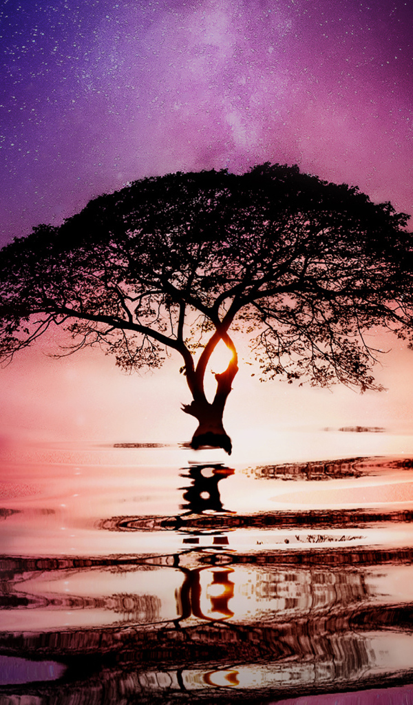 Большое ветвистое дерево в воде