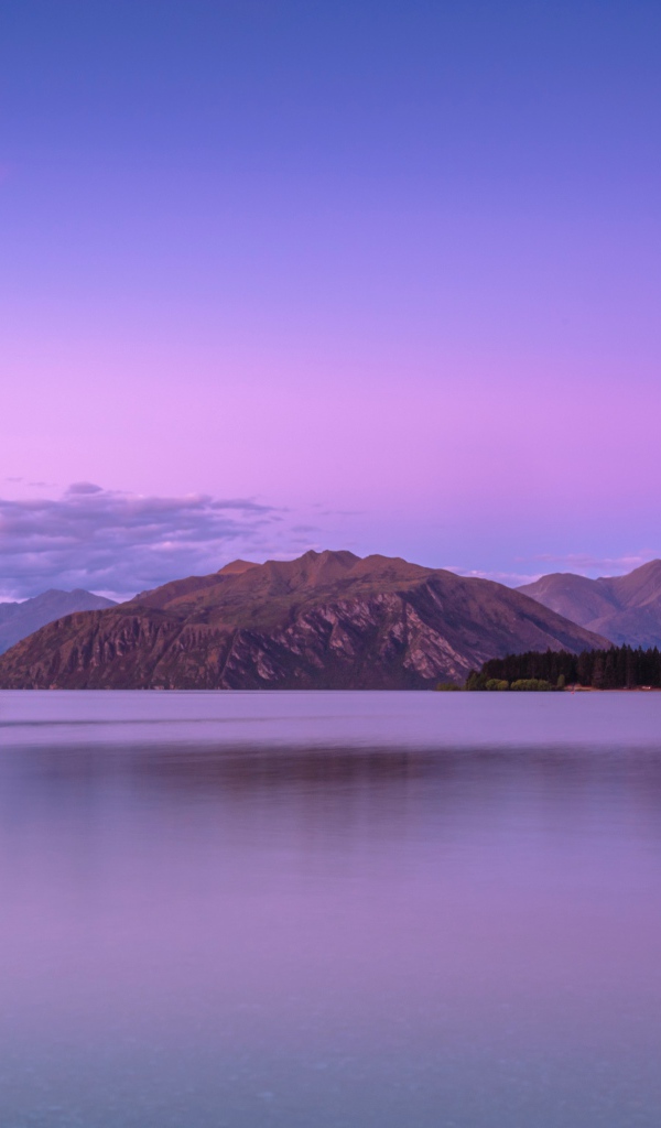 Одинокое дерево в воде на фоне гор на закате
