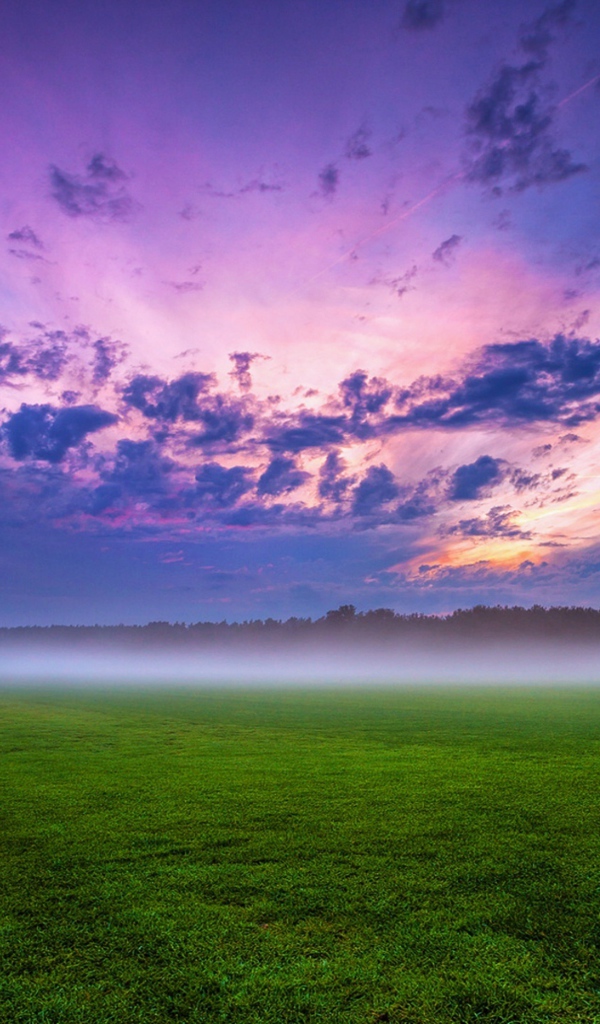 Утренний туман над полем под красивым небом