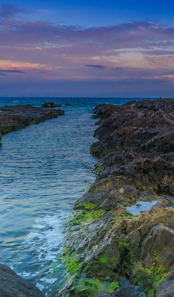 Покрытые мхом камни в морском заливе
