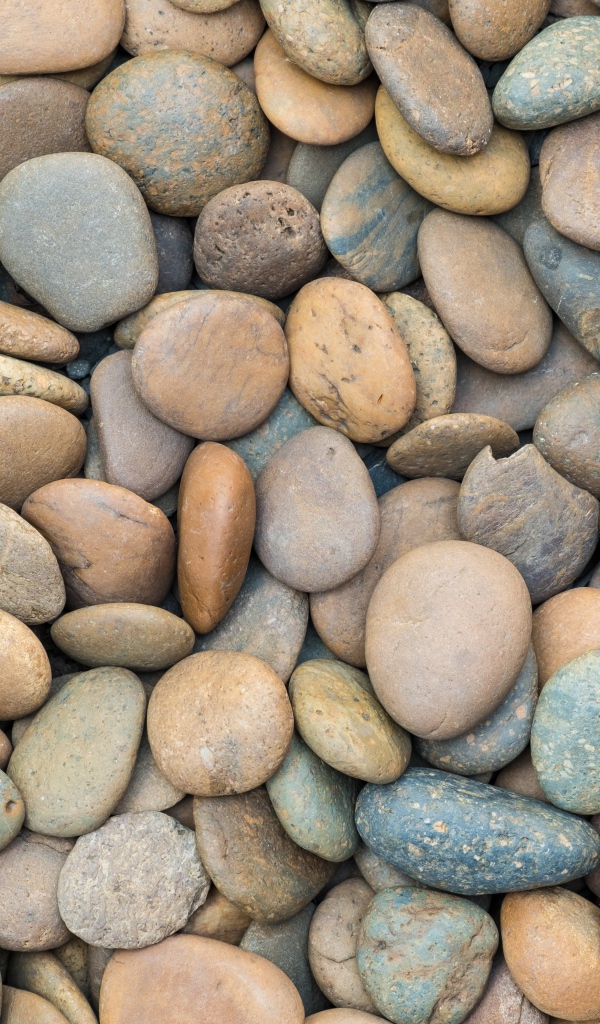 Разноцветные морские камни крупным планом