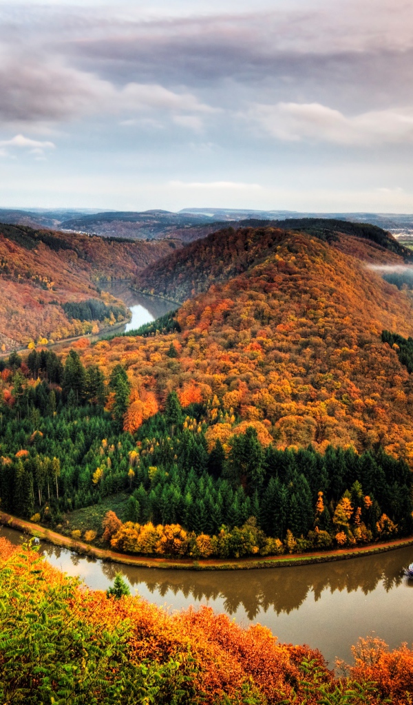 Река рядом с осенним лесом на фоне пасмурного неба