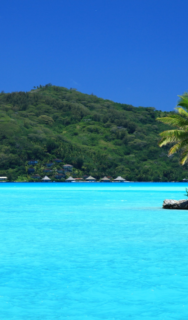 Маленькие островки с пальмами в голубом океане 