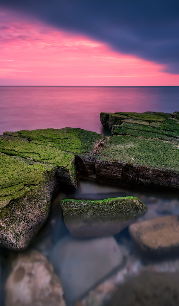 Покрытые зеленым мхом камни в воде