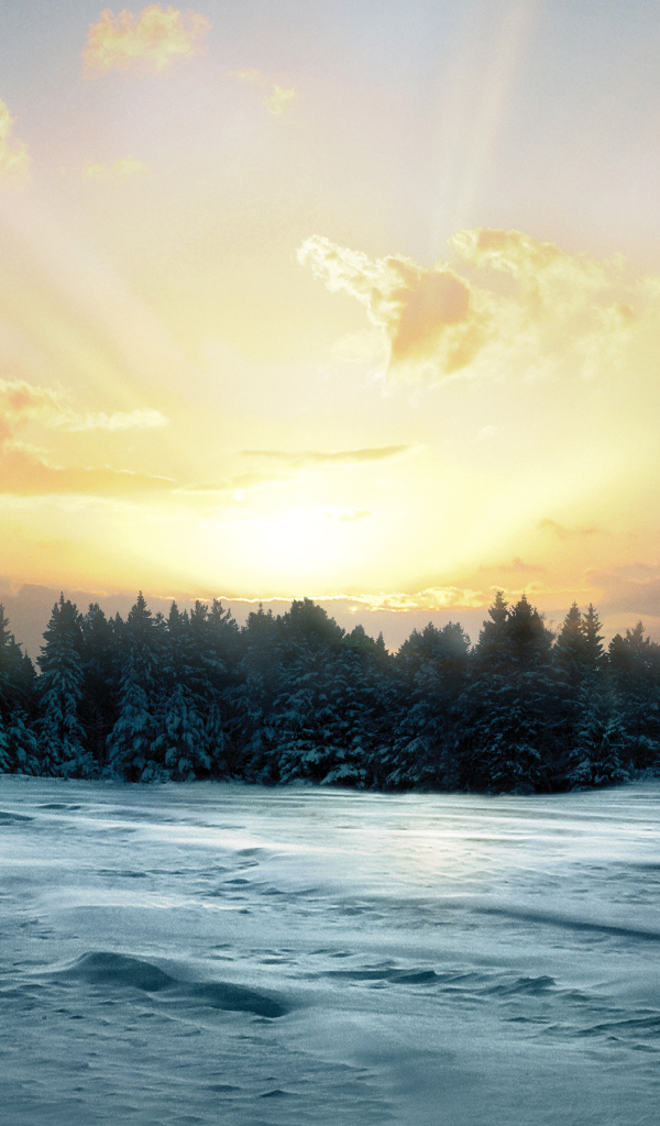Восход солнца над заснеженным лесом