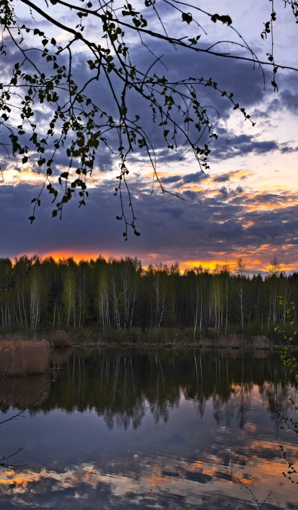 Небо отражается в реке на закате солнца