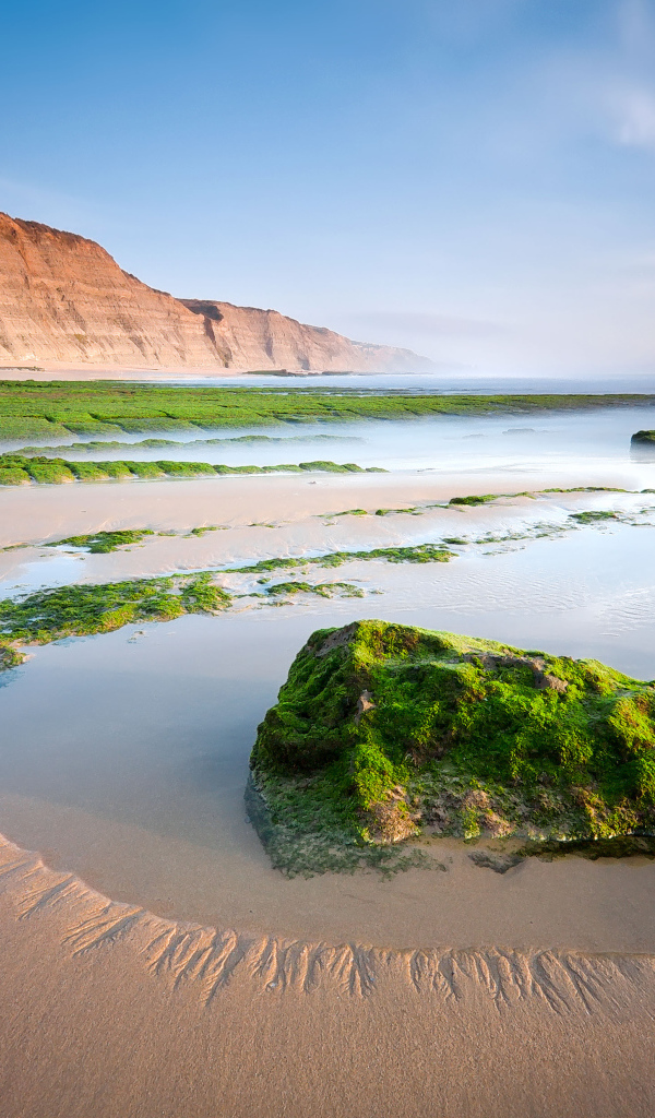 Камни на песчаном пляже покрыты зеленым мхом