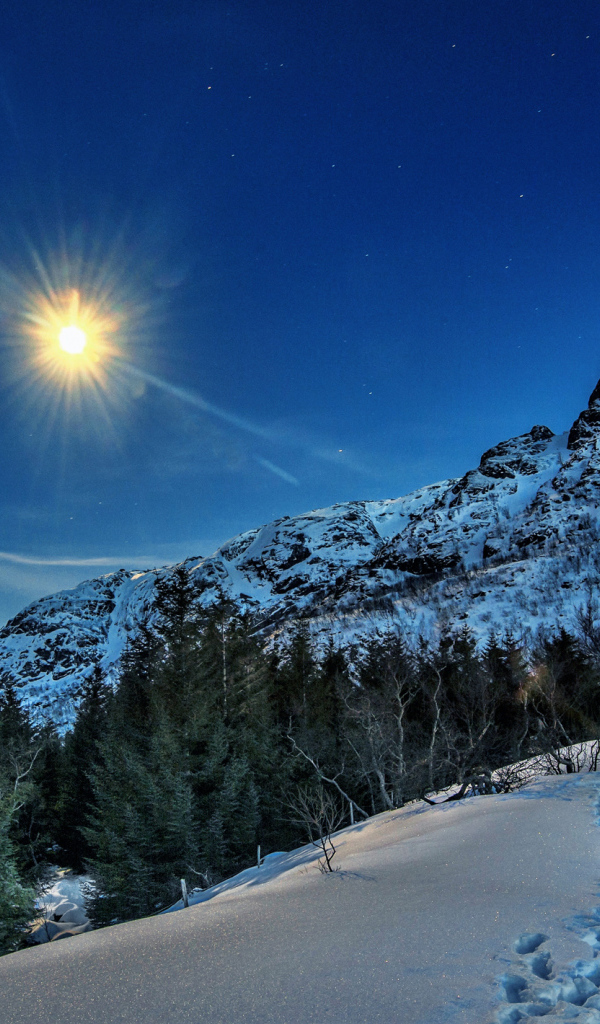 Солнце над заснеженными горами и лесом,  Лофотенские острова. Норвегия