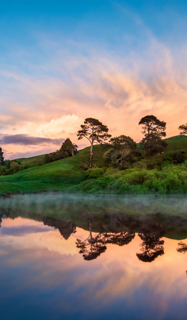 Деревья отражаются в воде на берегу озера на закате