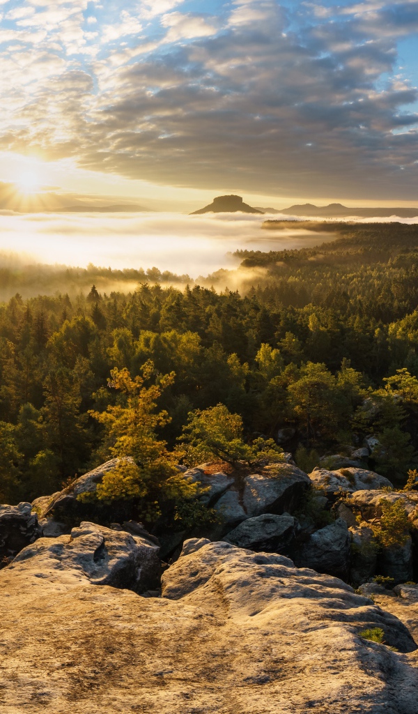 Вид со скалы на покрытый туманом лес и озеро на восходе солнца
