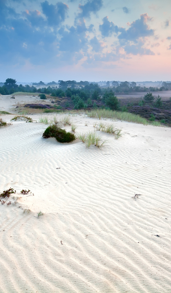 Белый песок под красивым небом 