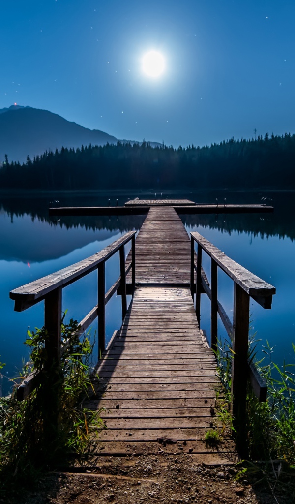 Деревянный мост на озере в полнолуние