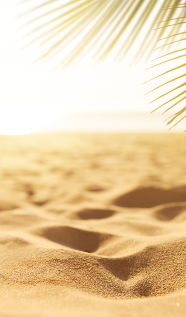 Горячий желтый песок на пляже под палящим солнцем