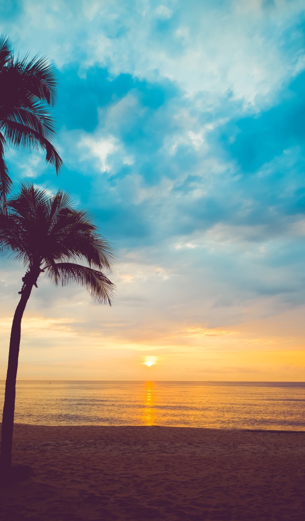 Закат солнца в небе на тропическом пляже