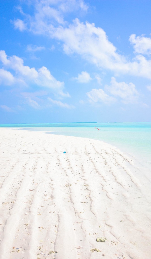 Белый песок на пляже Мальдив под голубым небом