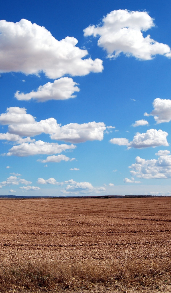 Белые пушистые облака в голубом небе над полем осенью 