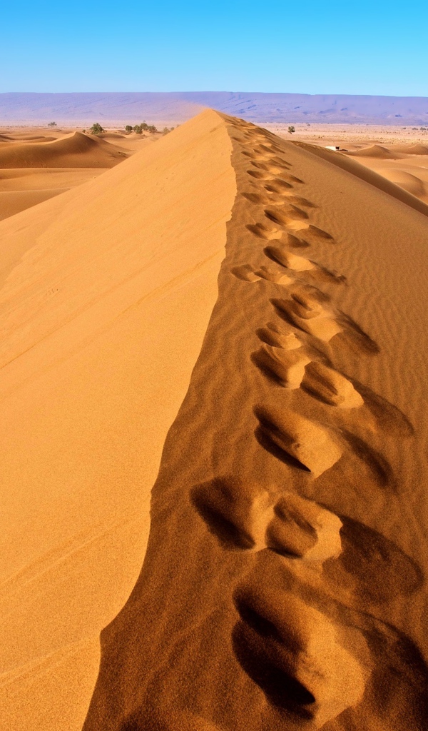 Следы на горячем песке в пустыне Сахара