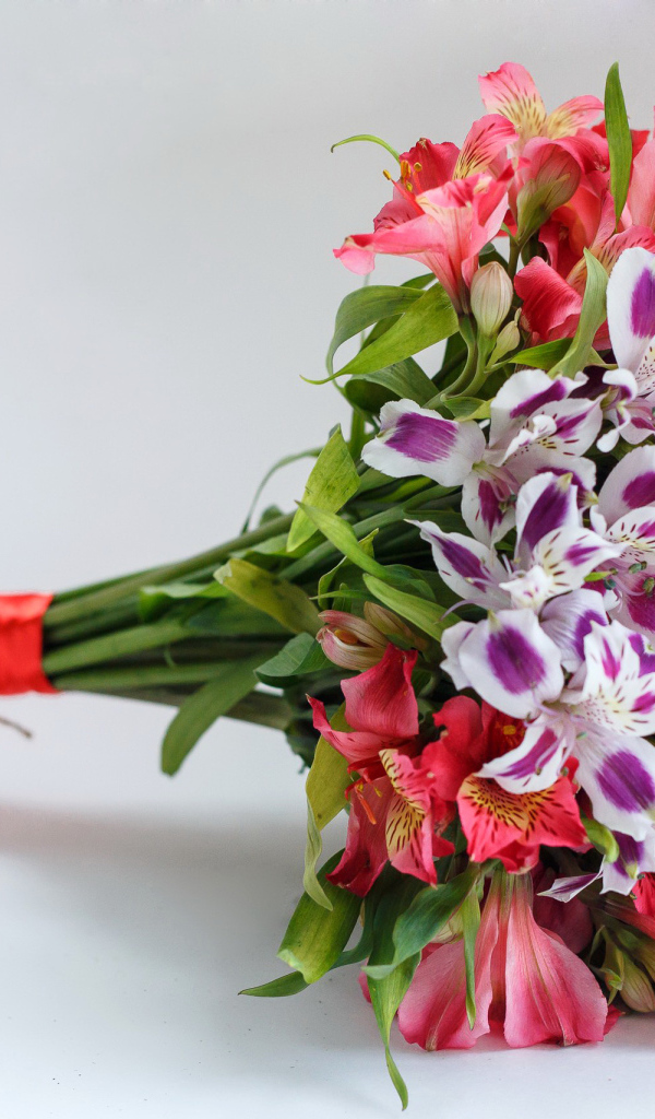 Букет цветов альстромерия на сером фоне 