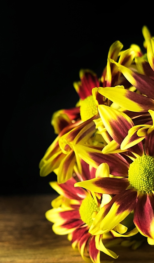 Букет газании на деревянном столе