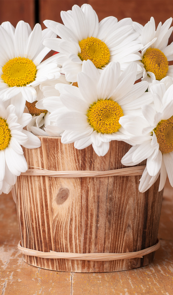 Букет больших белых ромашек в деревянной вазе
