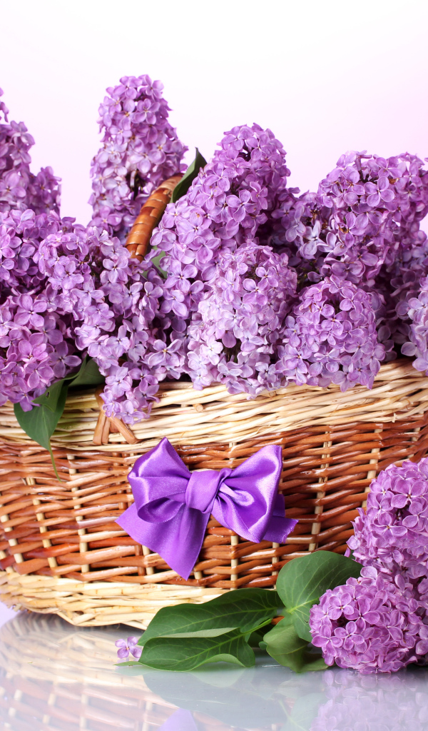 Букет сирени в корзине с бантиком