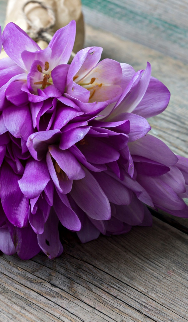 Букет весенних цветов фиолетовых крокусов лежит на деревянном столе