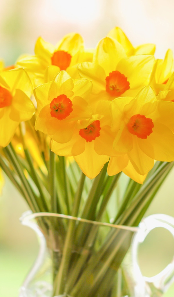 Букет желтых нарциссов в стеклянной вазе