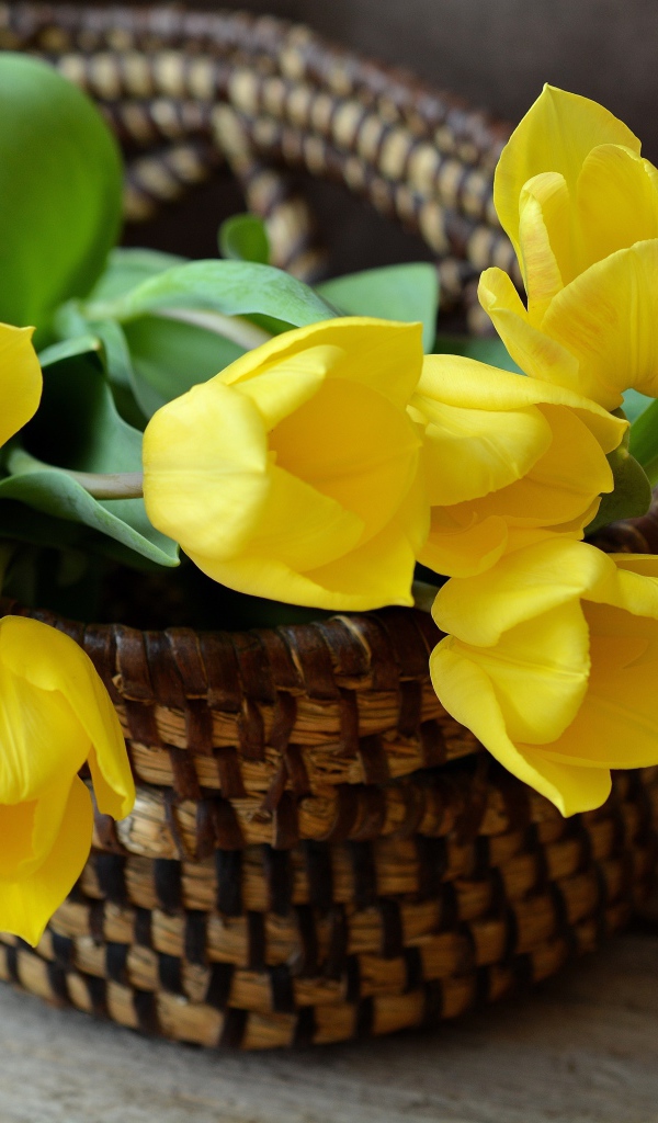 Букет желтых тюльпанов в корзине