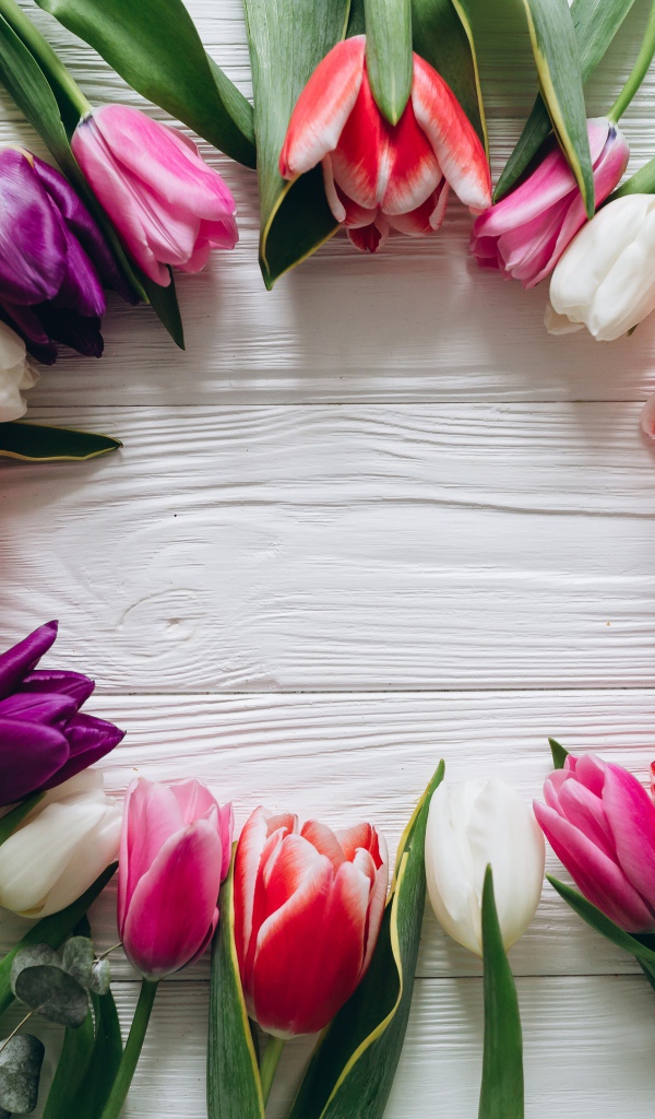 Круг из разноцветных тюльпанов на столе 