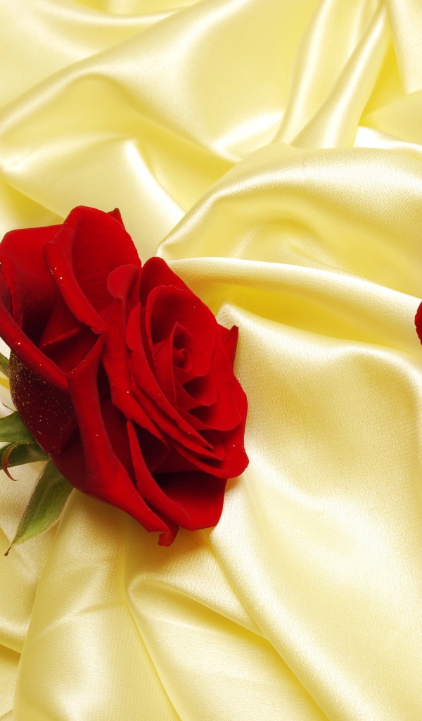 Нежная красная роза на шелковом желтом покрывале