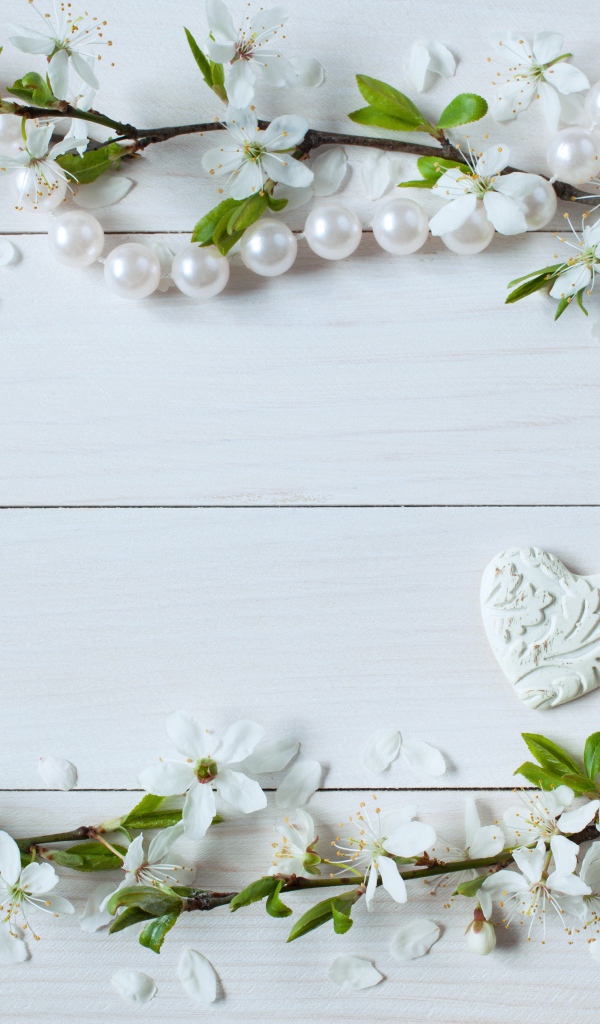 Фон для поздравительной открытки с цветами вишни и жемчужными бусами