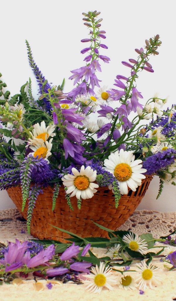 Корзина красивых полевых цветов на сером фоне