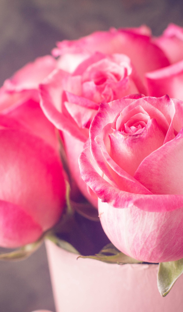 Красивый букет нежных розовых роз крупным планом